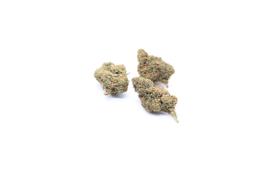 Skittlez Indoor H.E