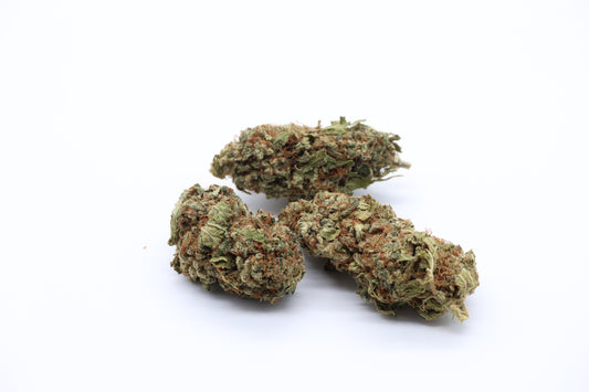 Orange bud