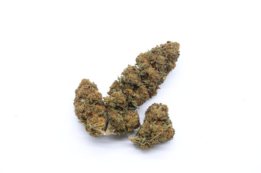 Moby Dick ( la tawa )